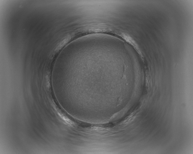 X0000067460393200604071133