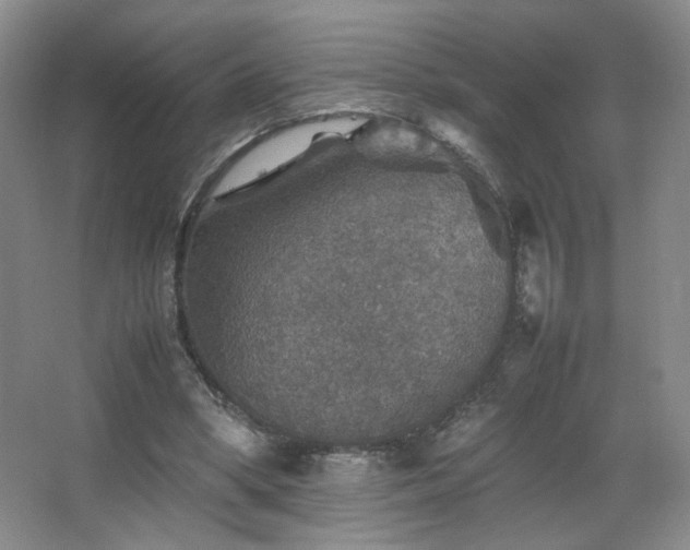 X0000067460394200604071133