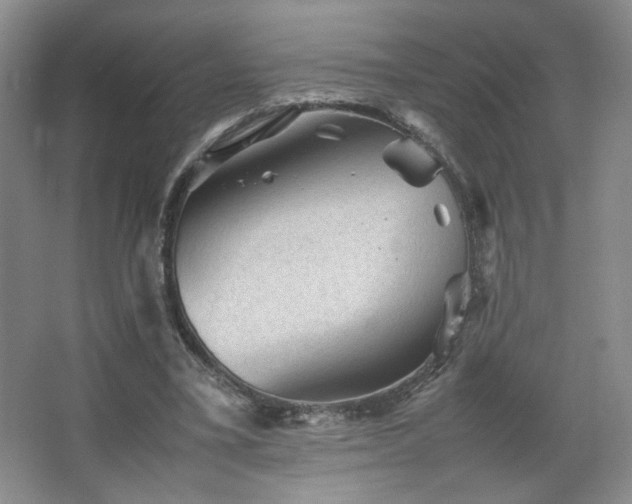 X0000067460395200604071133