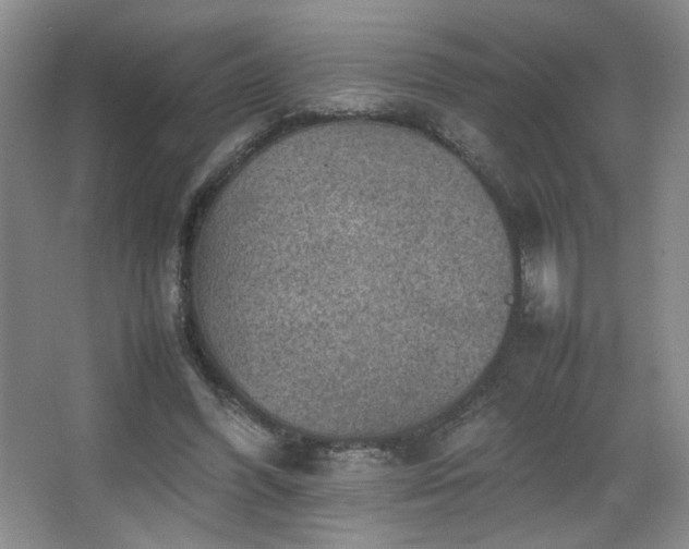 X0000067460396200604071133