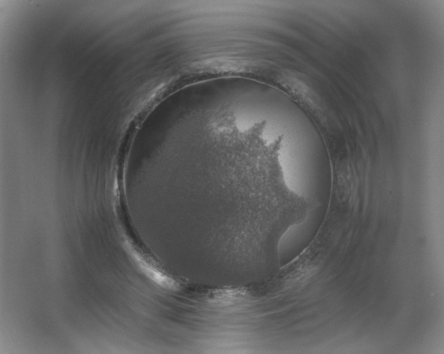 X0000067460398200604071133