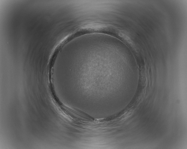 X0000067460399200604071133