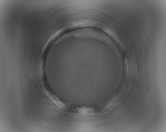 X0000067460400200604071133