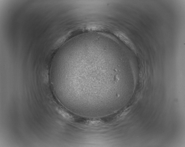 X0000067460401200604071133