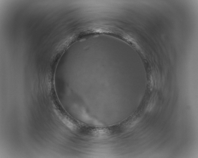 X0000067460402200604071133