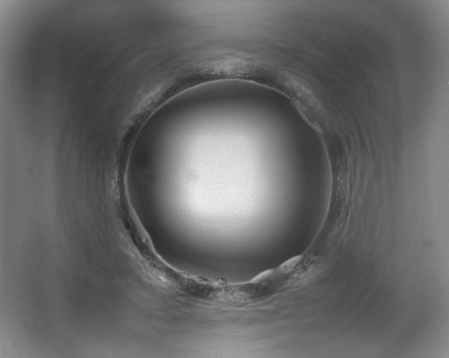 X0000067460403200604071133