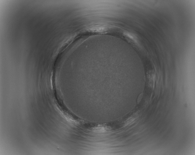 X0000067460404200604071133