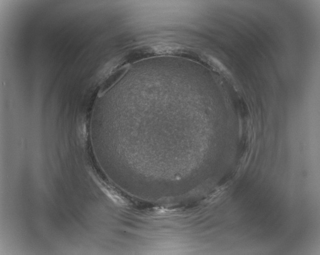 X0000067460405200604071133