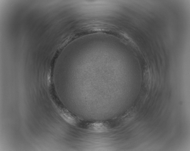 X0000067460406200604071133