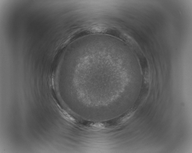 X0000067460409200604071133