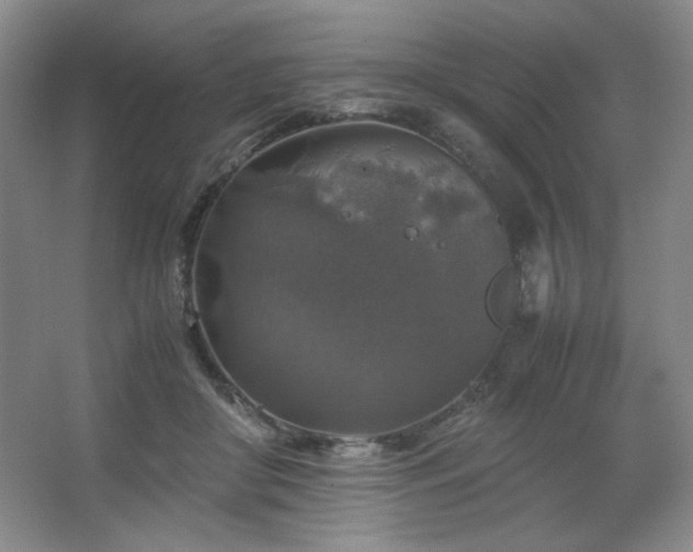 X0000067460410200604071133