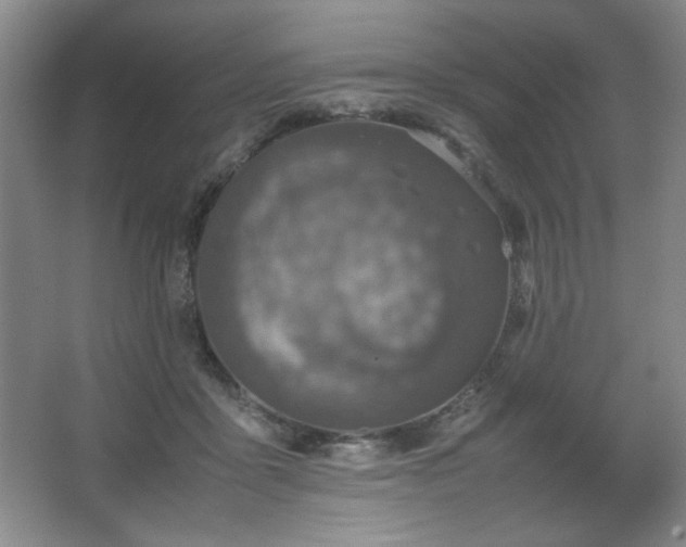 X0000067460411200604071133