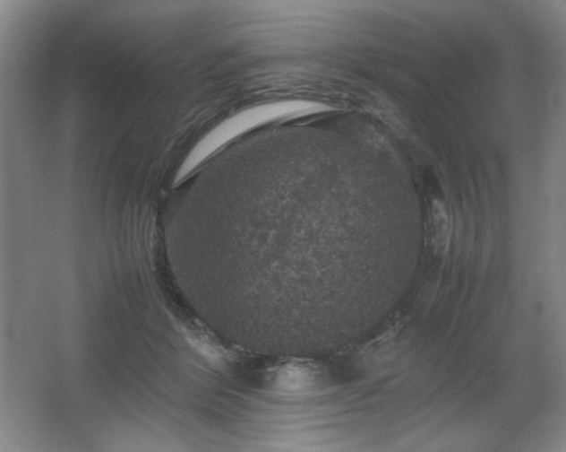 X0000067460412200604071133