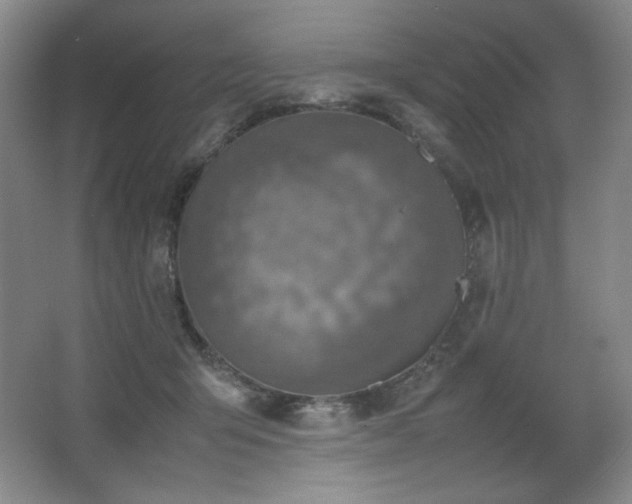 X0000067460415200604071133