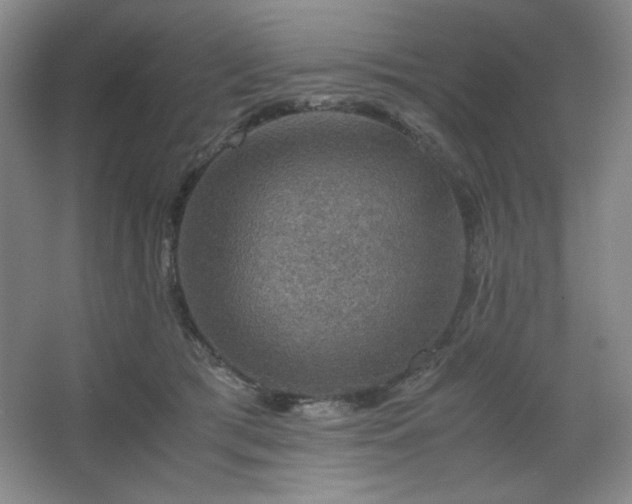 X0000067460417200604071133