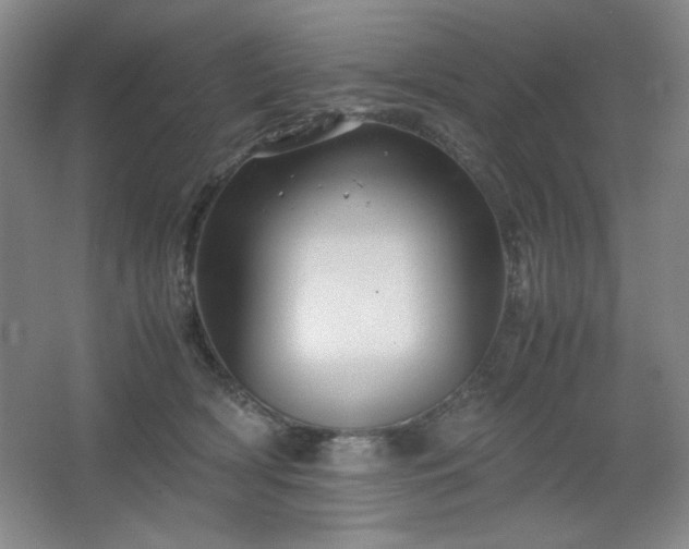 X0000067460418200604071133