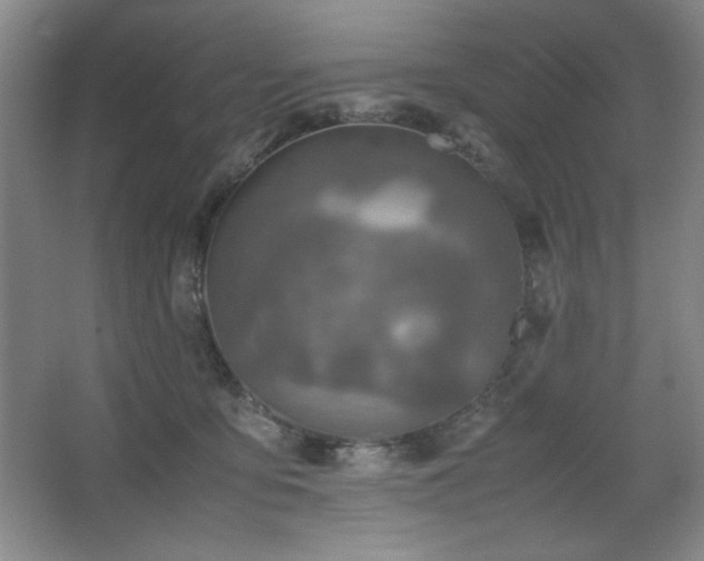 X0000067460419200604071133