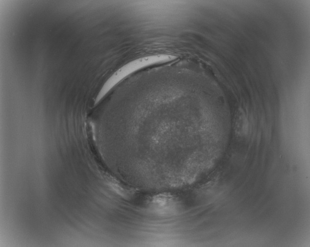 X0000067460420200604071133