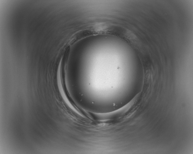 X0000067460421200604071133