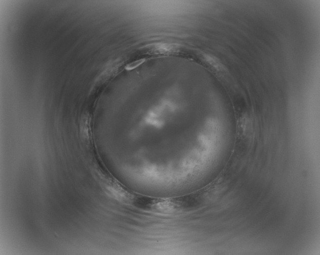 X0000067460423200604071133