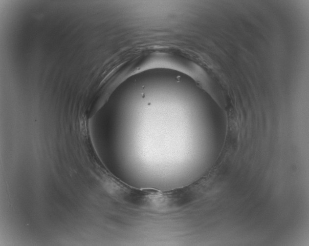 X0000067460425200604071133