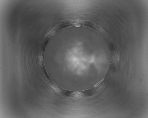 X0000067460427200604071133