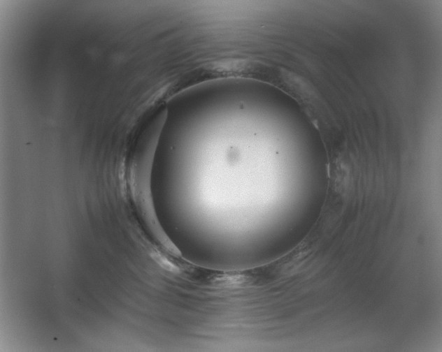 X0000067460428200604071133