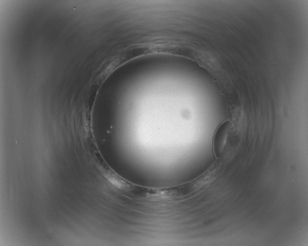 X0000067460430200604071133