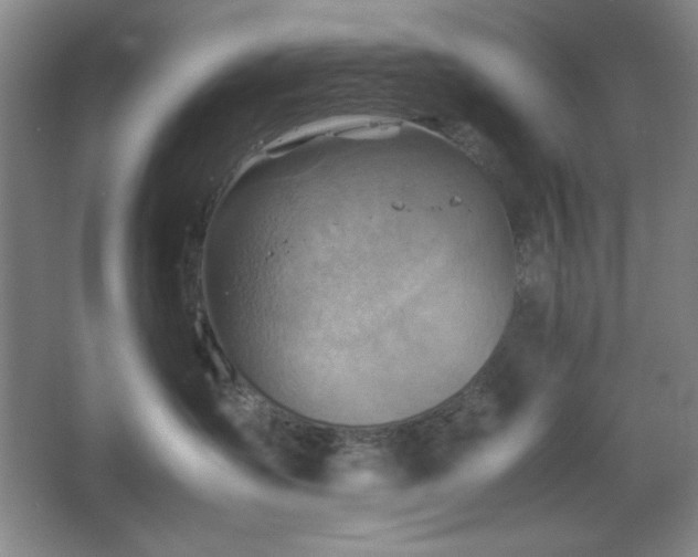 X0000067460431200604071133