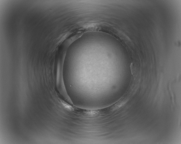 X0000067460432200604071133