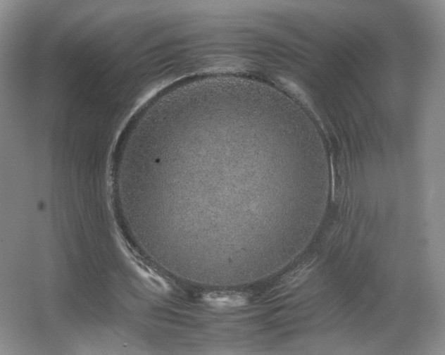 X0000067460435200604071132