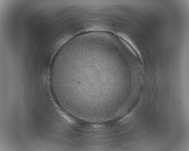 X0000067460437200604071132