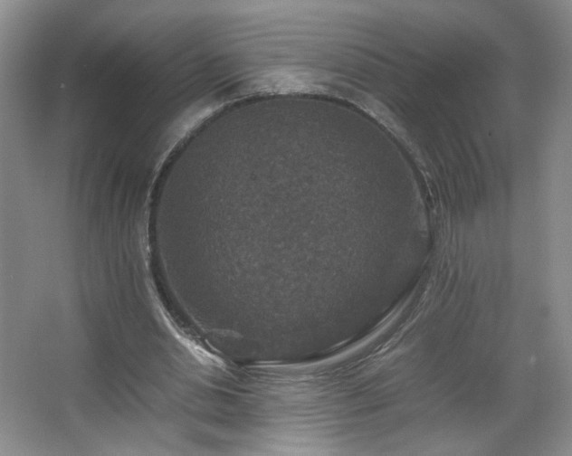 X0000067460438200604071132