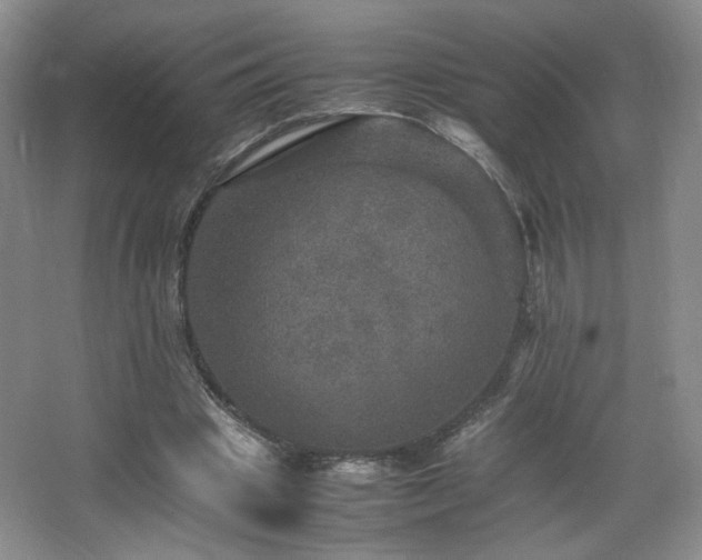 X0000067460441200604071132