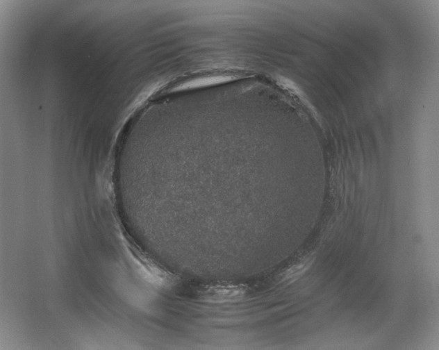 X0000067460443200604071132