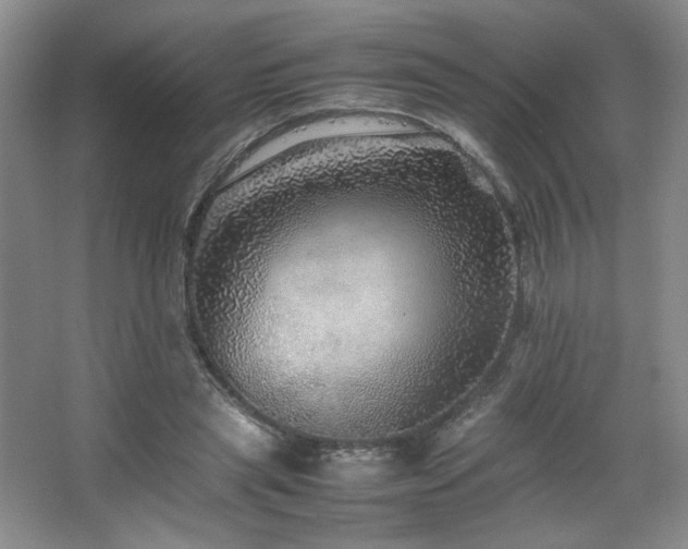 X0000067460445200604071132