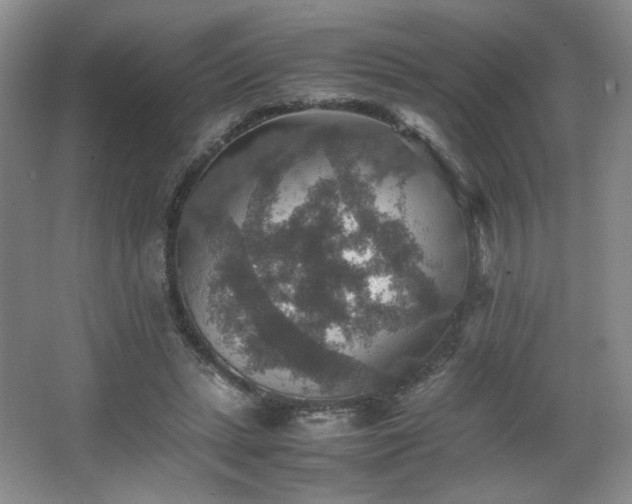 X0000067460447200604071132