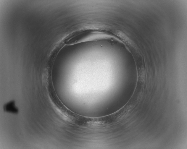 X0000067460448200604071132