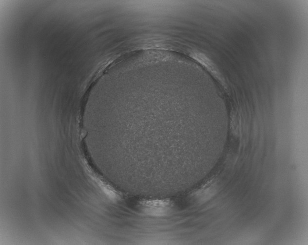 X0000067460449200604071132