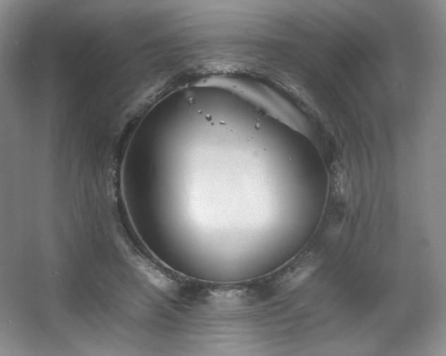 X0000067460450200604071132