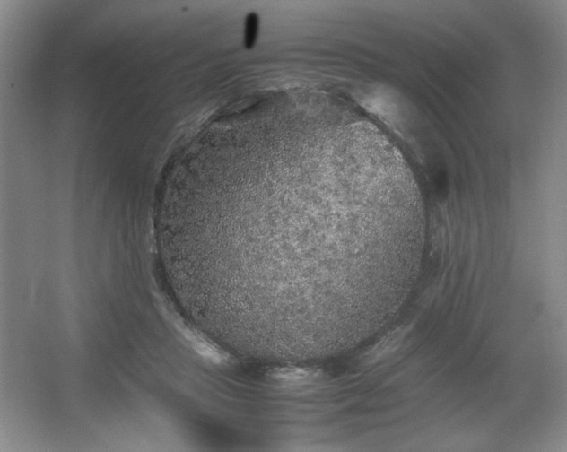 X0000067460453200604071132