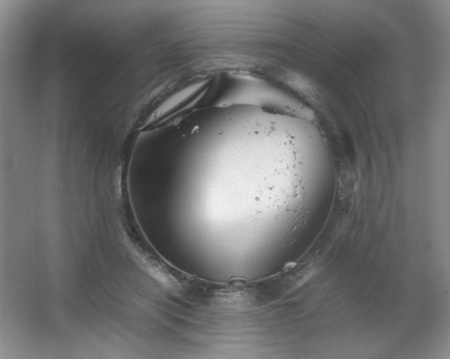 X0000067460454200604071132