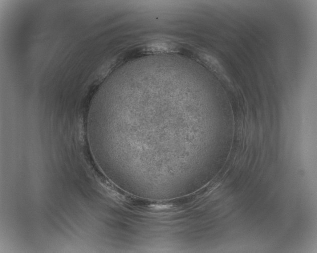 X0000067460457200604071132