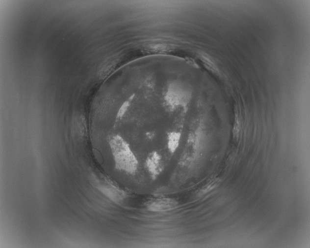 X0000067460459200604071132