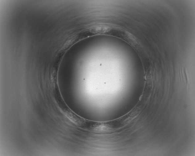 X0000067460460200604071132