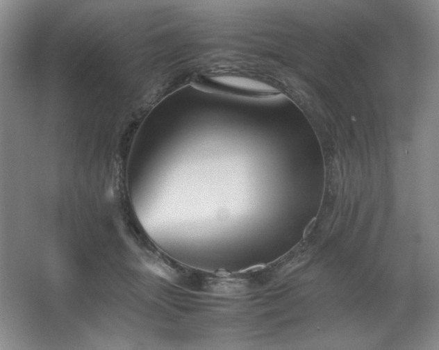 X0000067460463200604071133