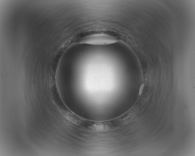 X0000067460464200604071133