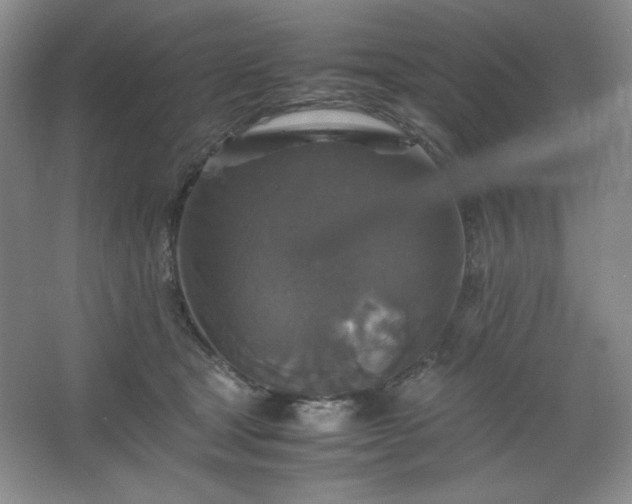 X0000067460465200604071133