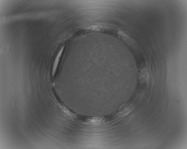 X0000067460466200604071133