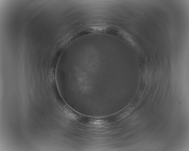 X0000067460467200604071133